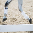 Load image into Gallery viewer, Ecogold  Exercise Horse Boots
