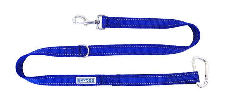 Bay Dog Hudson Leash 6 Ft