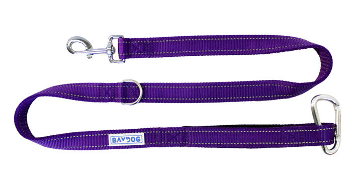 Hudson Leash Purple 1