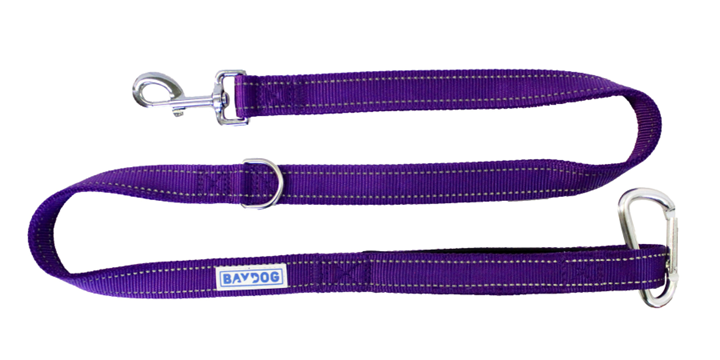 Bay Dog Hudson Leash 4 Ft