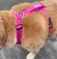 Load image into Gallery viewer, Chesapeake Harness Pink 2
