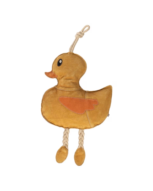Duck Toy for Horses