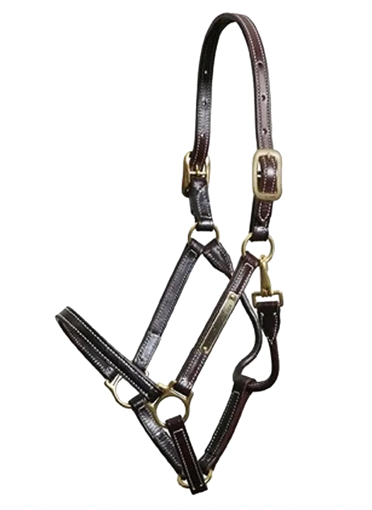 Walsh Showman Halter