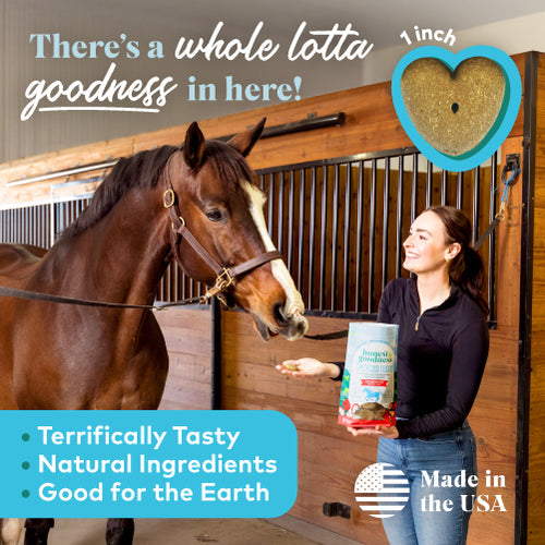 Honest to Goodness Upcycled Horse Treats - Apple - 2 lbs