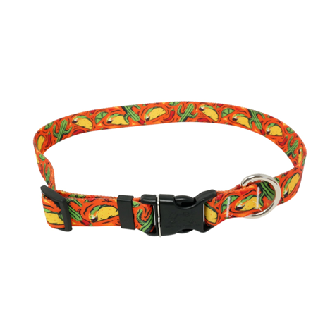 Yellow Dog Taco Fiesta Orange Collar