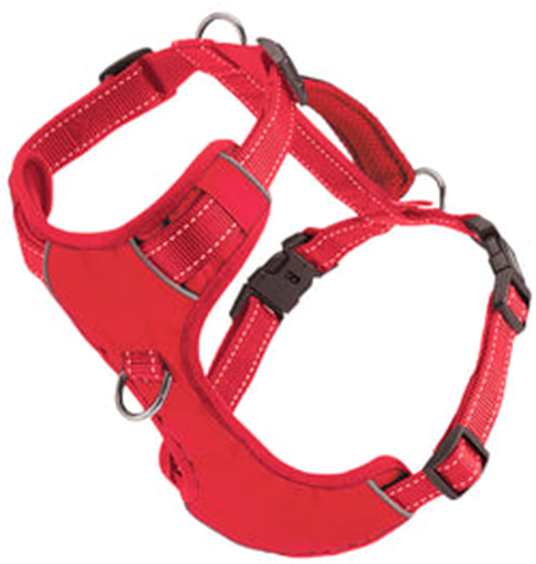 Bay Dog Chesapeake Harness