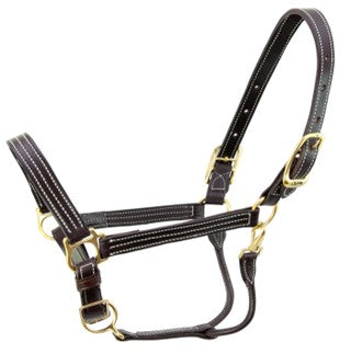 Walsh Kentucky Halter