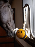 Load image into Gallery viewer, LeMieux Horse Toy Bee
