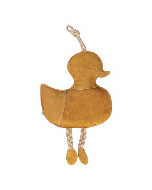 Duck Toy for Horses