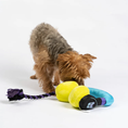 Load image into Gallery viewer, Headphones Dog Toy
