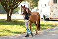 Load image into Gallery viewer, Dreamers & Schemers DRAGON DREAMS YOUTH Pair & A Spare Boot Socks
