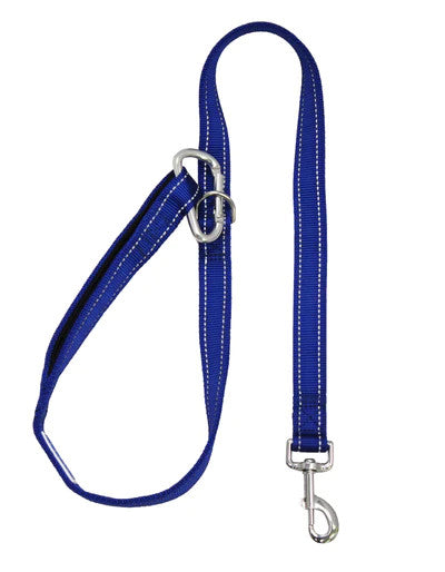 Hudson Leash Blue 2