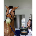 Load image into Gallery viewer, Equine Elixirs CHUG® Equine Hydration
