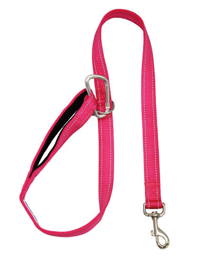 Hudson Leash Pink 2