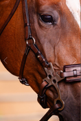 Load image into Gallery viewer, Arc de Triomphe Hackamore Bridle w/Stainless Steel Shanks & Calfskin Covered Reins
