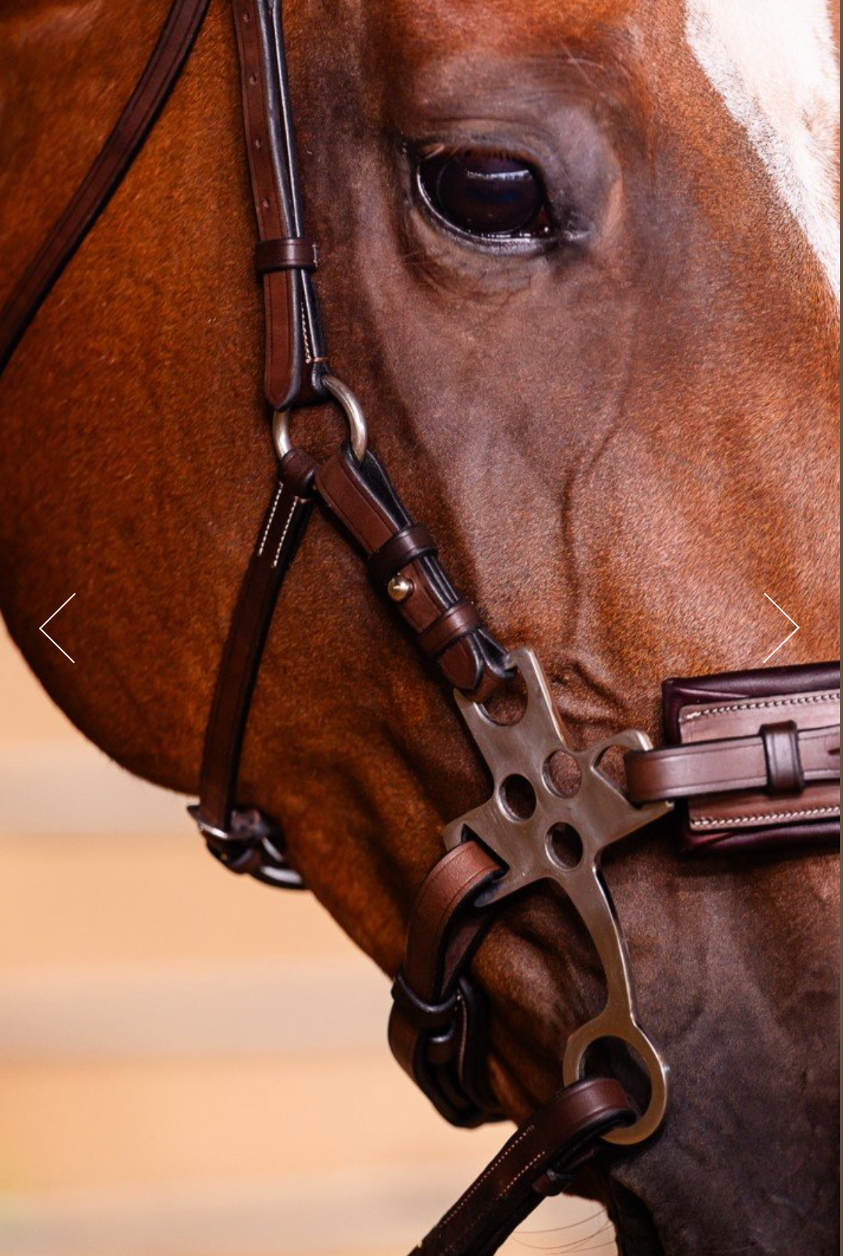 Arc de Triomphe Hackamore Bridle w/Stainless Steel Shanks & Calfskin Covered Reins