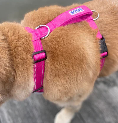 Chesapeake Harness Pink 2