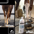 Load image into Gallery viewer, The Infused Equestrian Splash. An Intensifying Shampoo
