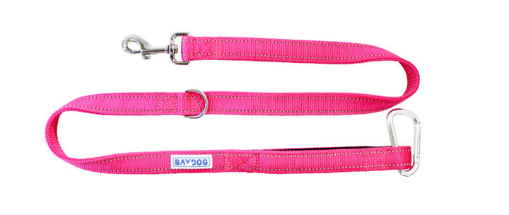 Hudson Leash Pink 1