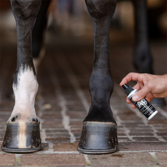 EquiFit  AgSilver Daily Strength CleanSpray 4oz