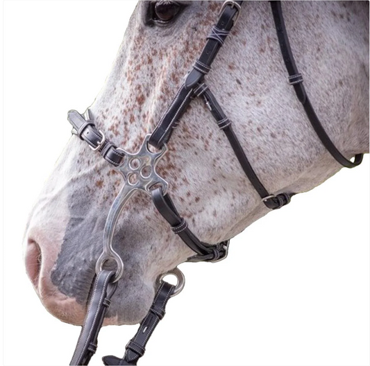 Jump In Hackamore Bridle Week Collection Havana Full