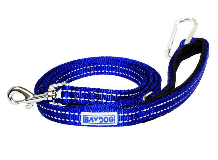 Pensacola Leash Blue