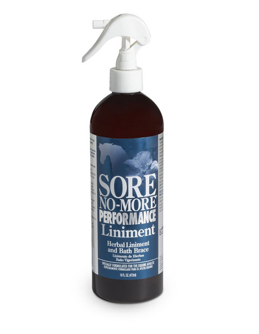 Arenus Sore No More Performance Liniment