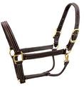 Load image into Gallery viewer, Walsh British Halter
