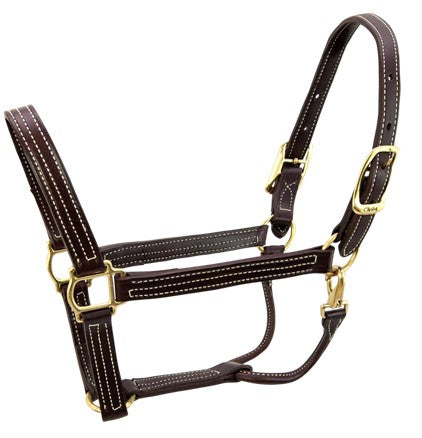 Walsh British Halter