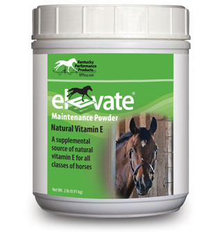 Elevate Maintenance Powder 2lb