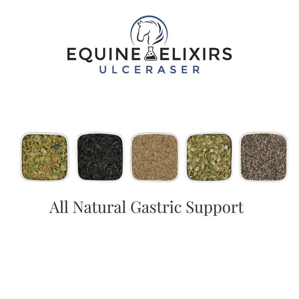 Equine Elixirs ULCERASER® Gastric Support