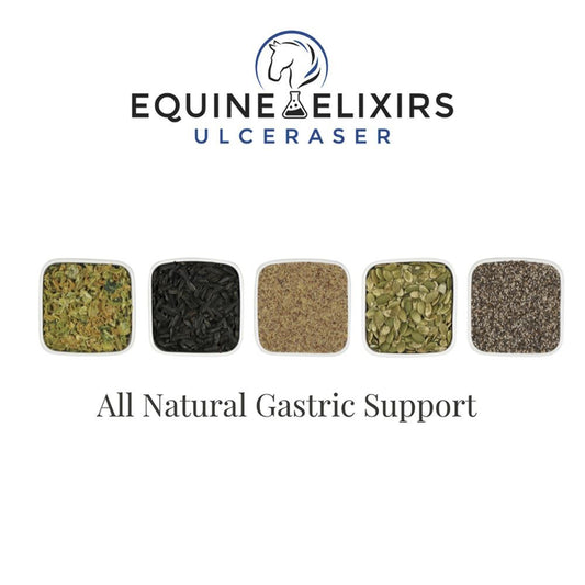 Equine Elixirs ULCERASER® Gastric Support