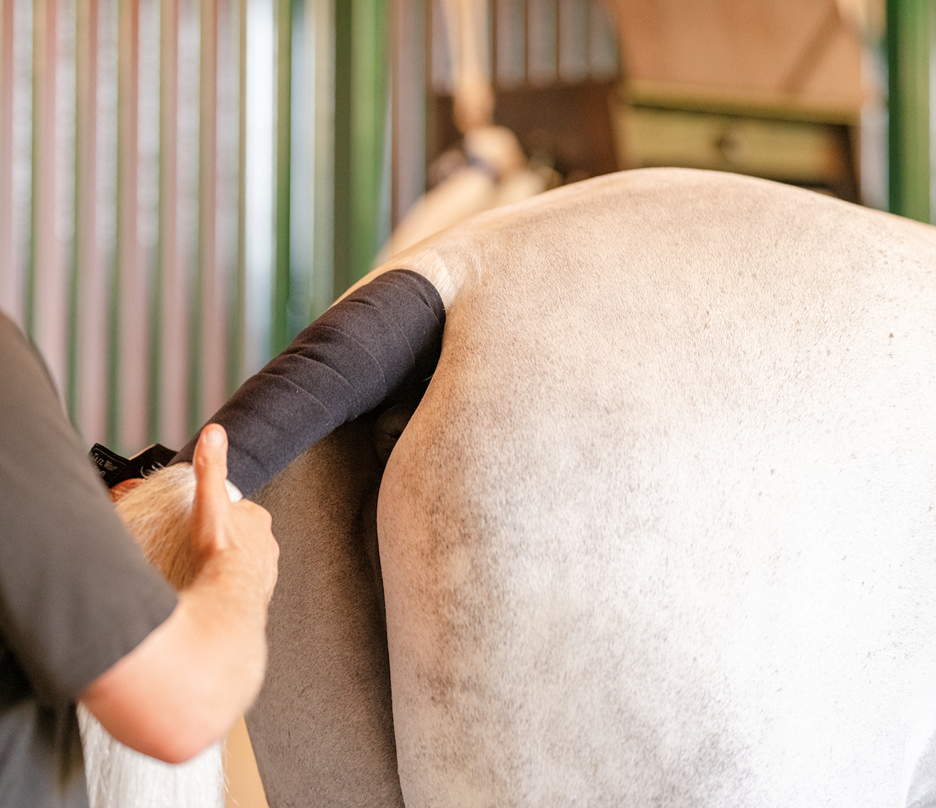 EquiFit No-Hassle Tail Wrap