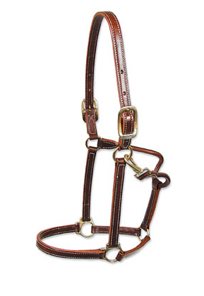 Walsh Showman Halter