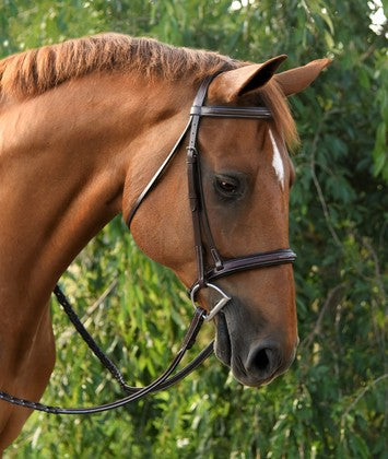 Red Barn Icon Hunter Bridle