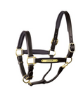 Load image into Gallery viewer, Perri's 1" Padded Halter with Brass Hardware
