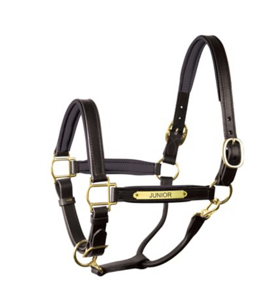 Perri's 1" Padded Halter with Brass Hardware