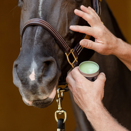 EquiFit  AgSilver CleanBalm 4oz