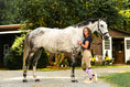 Load image into Gallery viewer, Dreamers & Schemers SIDE EYE Pair & A Spare Boot Socks
