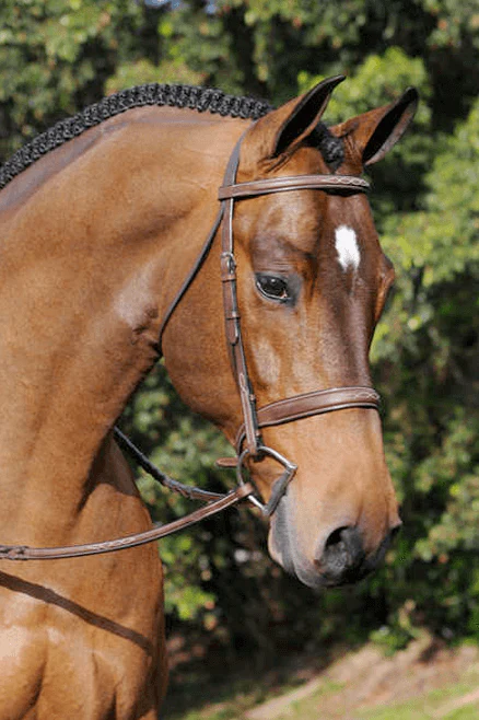 Arc de Triomphe 'Stealth' Hunter Bridle