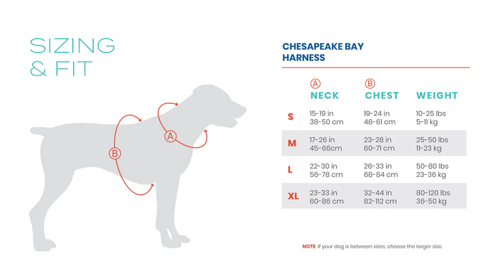 Bay Dog Chesapeake Harness