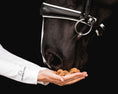 Load image into Gallery viewer, Equine Elixirs TIDBITS® Cookies Supporting Digestion
