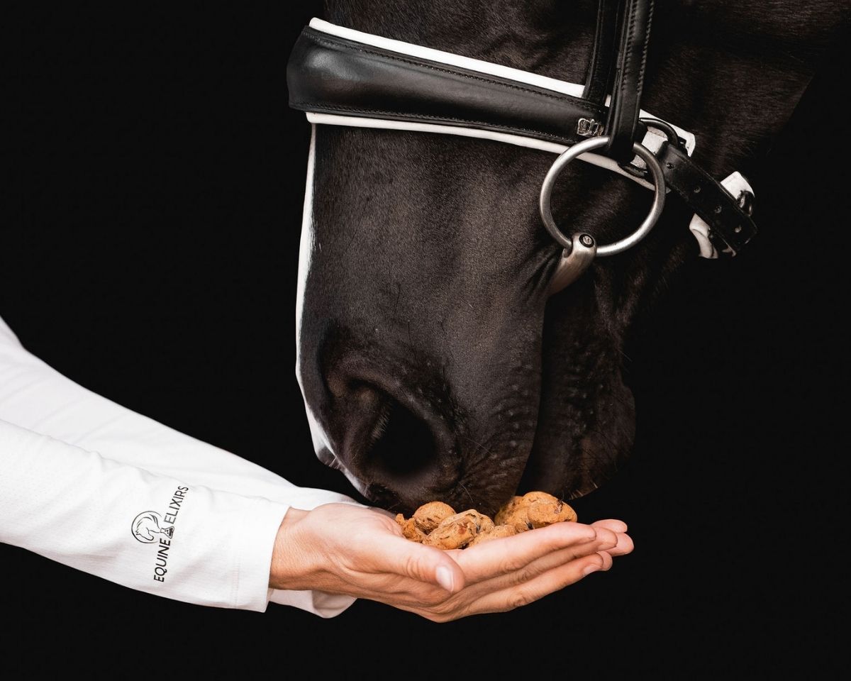 Equine Elixirs TIDBITS® Cookies Supporting Digestion