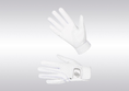 Load image into Gallery viewer, Samshield V-Skin Swarovski Riding Gloves
