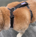 Load image into Gallery viewer, Chesapeake Harness Black 2
