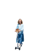 Load image into Gallery viewer, Lion Scooter Head - Wild & Soft
