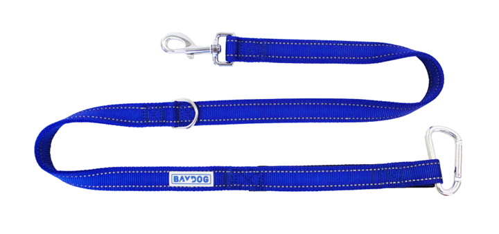 Bay Dog Hudson Leash 4 Ft