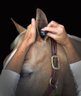 Load image into Gallery viewer, Plughz® 2 Pair Horse Ear Plugs
