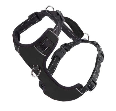 Chesapeake Harness Black 1