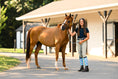 Load image into Gallery viewer, Dreamers & Schemers DRAGON DREAMS YOUTH Pair & A Spare Boot Socks
